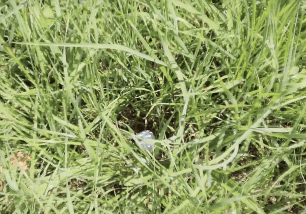 Golfregeln 2019 - Tierloch